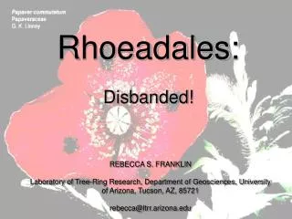 Rhoeadales: Disbanded!
