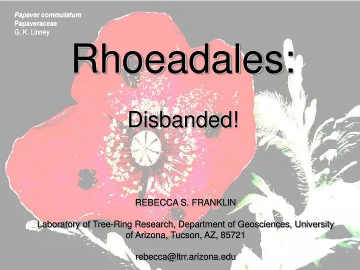 rhoeadales disbanded
