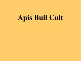 Apis Bull Cult