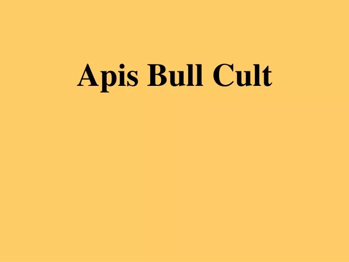 apis bull cult