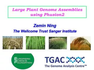 Large Plant Genome Assemblies using Phusion2