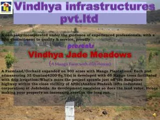 Vindhya infrastructures pvt.ltd