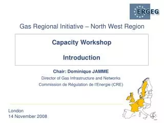 Chair: Dominique JAMME Director of Gas Infrastructure and Networks