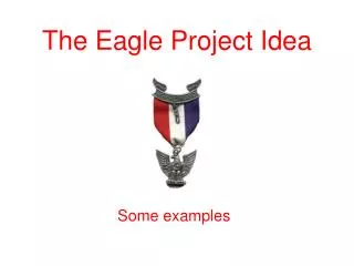 The Eagle Project Idea