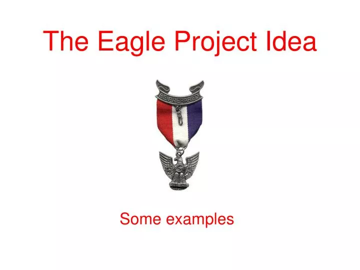 the eagle project idea