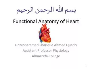 Functional Anatomy of Heart