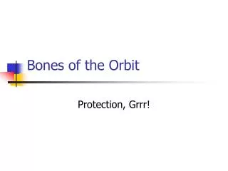 Bones of the Orbit