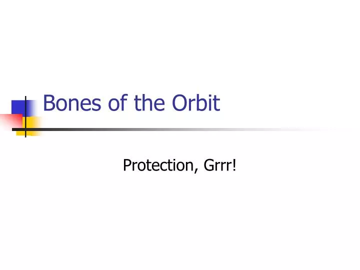 bones of the orbit