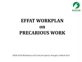 EFFAT WORKPLAN on PRECARIOUS WORK