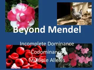 beyond mendel