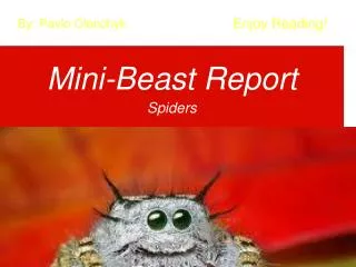 Mini-Beast Report