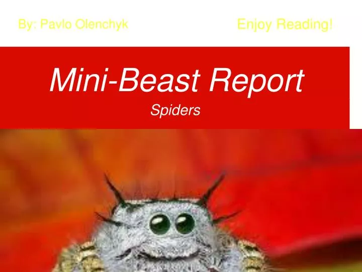 mini beast report
