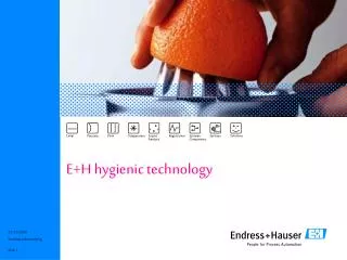 E+H hygienic technology