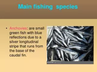 Main fishing species