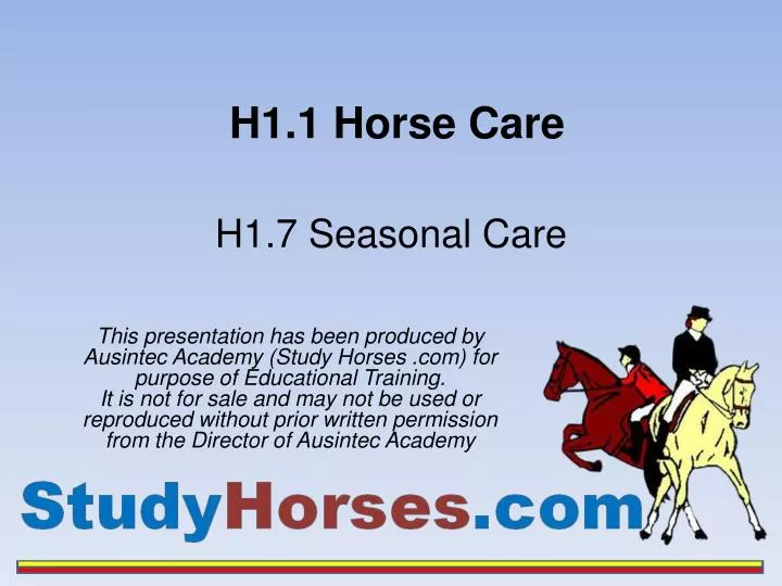 h1 1 horse care