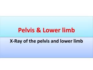Pelvis &amp; Lower limb