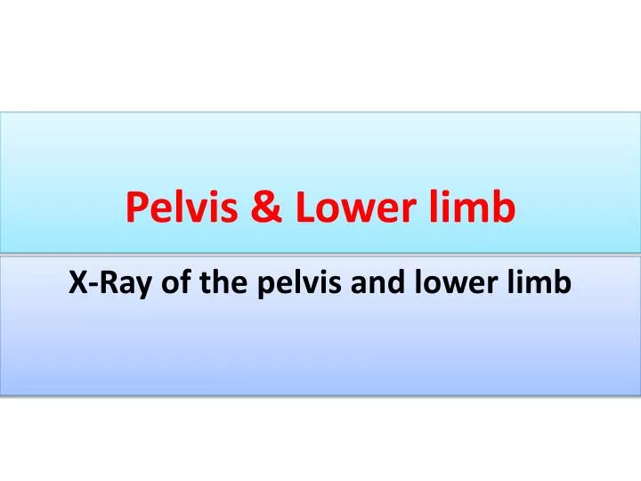 pelvis lower limb
