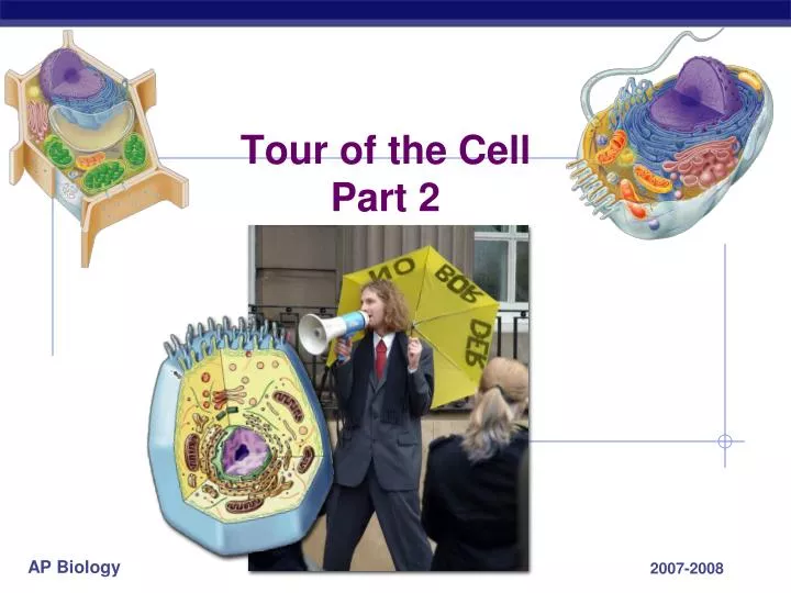 tour of the cell part 2