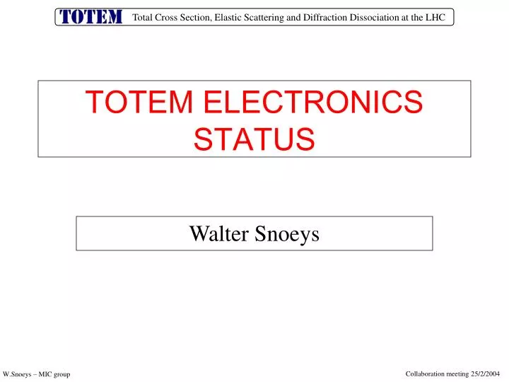totem electronics status