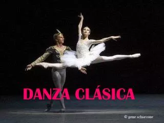danza cl sica