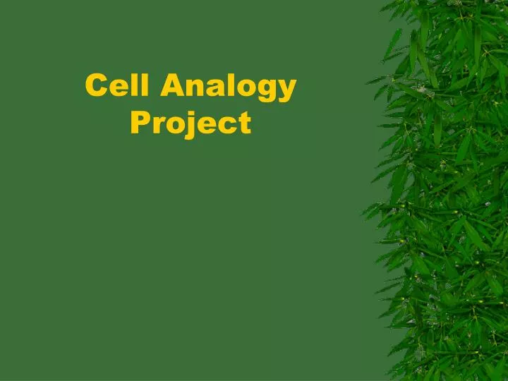 cell analogy project