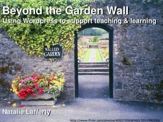 Beyond the Garden Wall