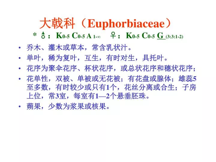 euphorbiaceae k 0 5 c 0 5 a 1 k 0 5 c 0 5 g 3 3 1 2