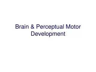 Brain &amp; Perceptual Motor Development