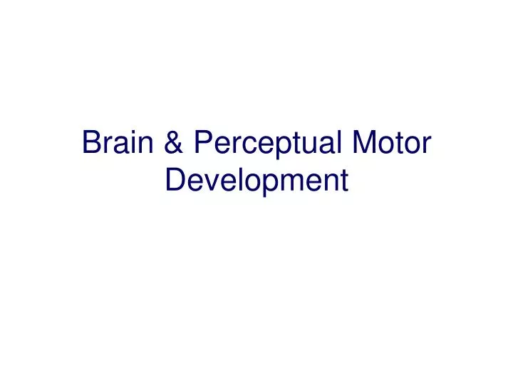 brain perceptual motor development