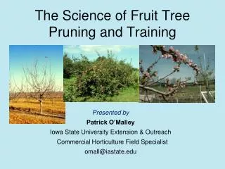 The Science of Fruit Tree Pruning and Training
