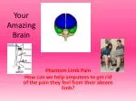 Your Amazing Brain - slide 1