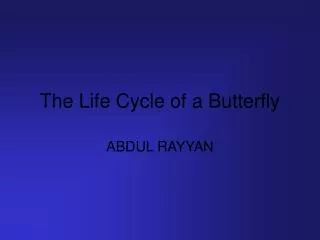 The Life Cycle of a Butterfly