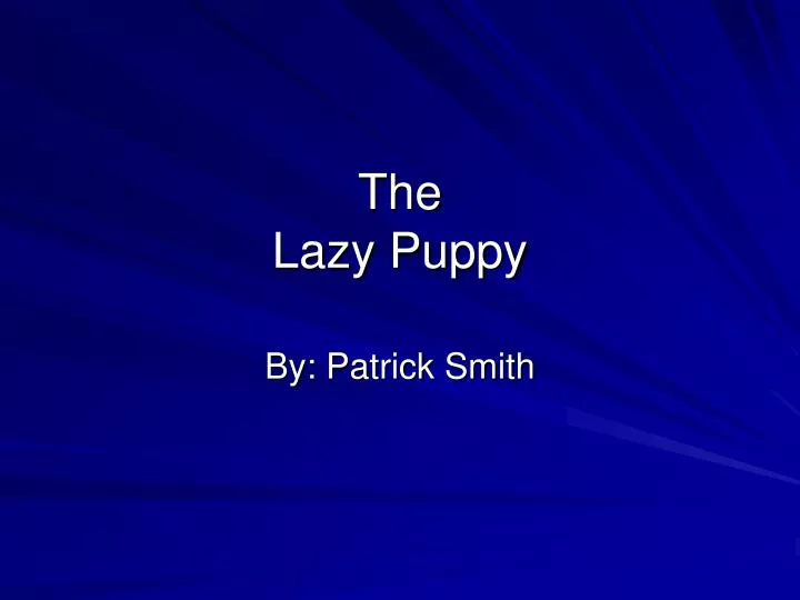 the lazy puppy