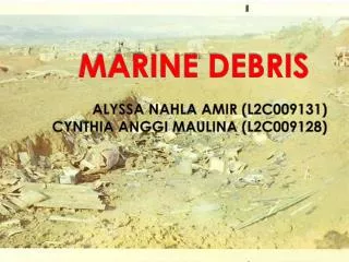marine debris
