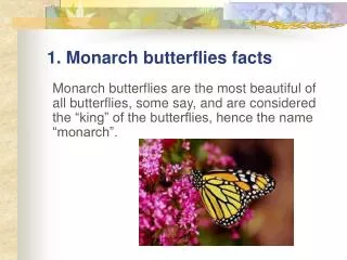 1. Monarch butterflies facts