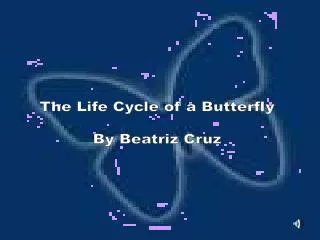 The Life Cycle of a Butterfly By Beatriz Cruz