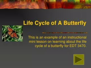 Life Cycle of A Butterfly