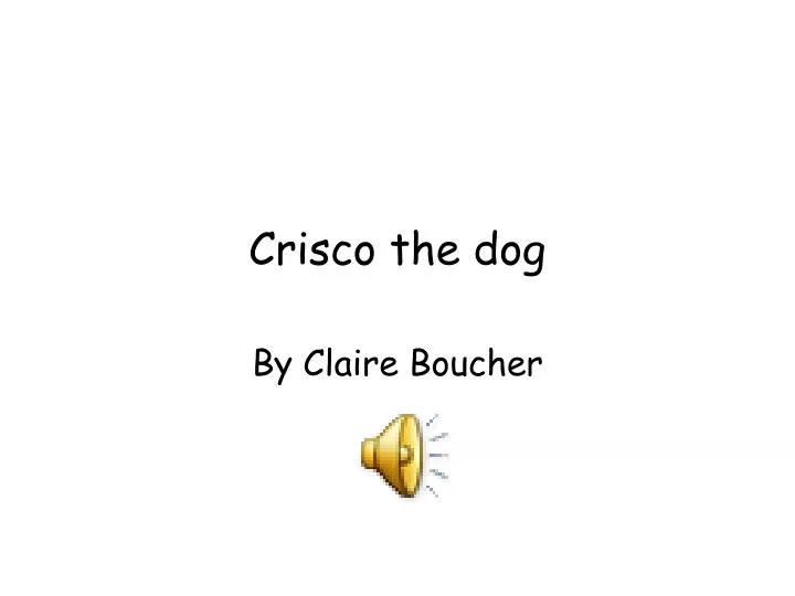 crisco the dog