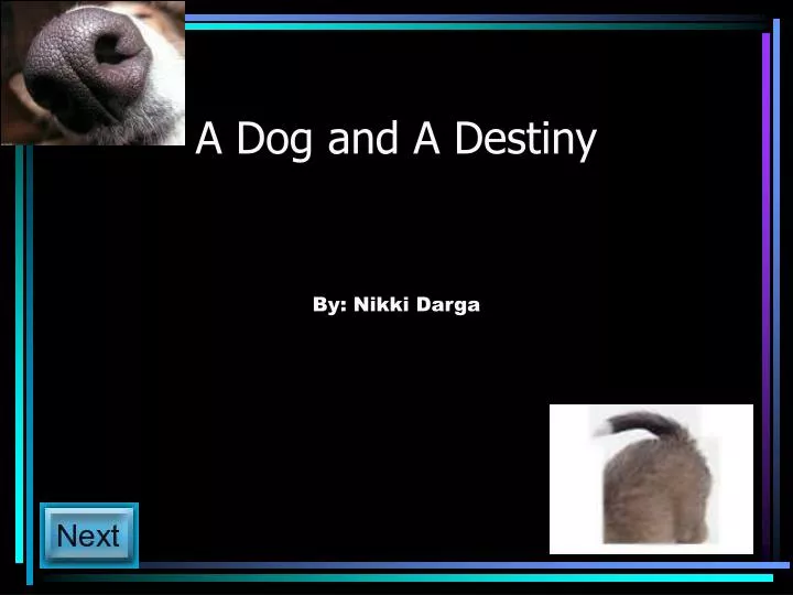 a dog and a destiny