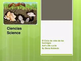 Ciencias Science