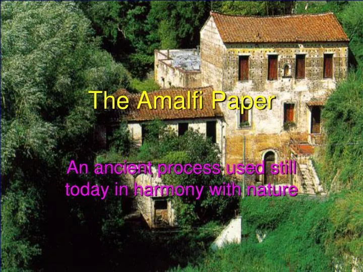 the amalfi paper