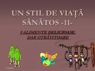un stil de via s n tos 11