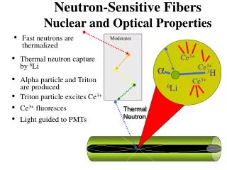 Neutron-Sensitive Fibers Nuclear and Optical Properties