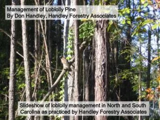 Management of Loblolly Pine By Don Handley, Handley Forestry Associates