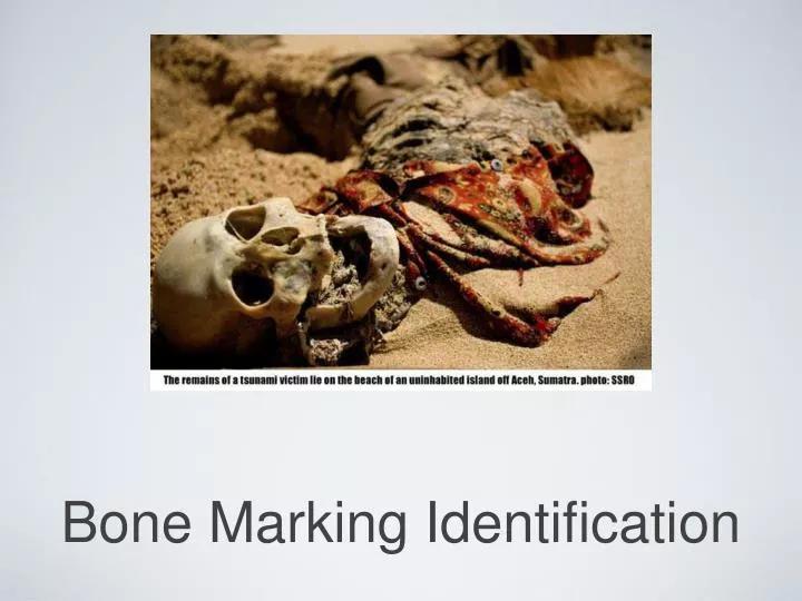 bone marking identification