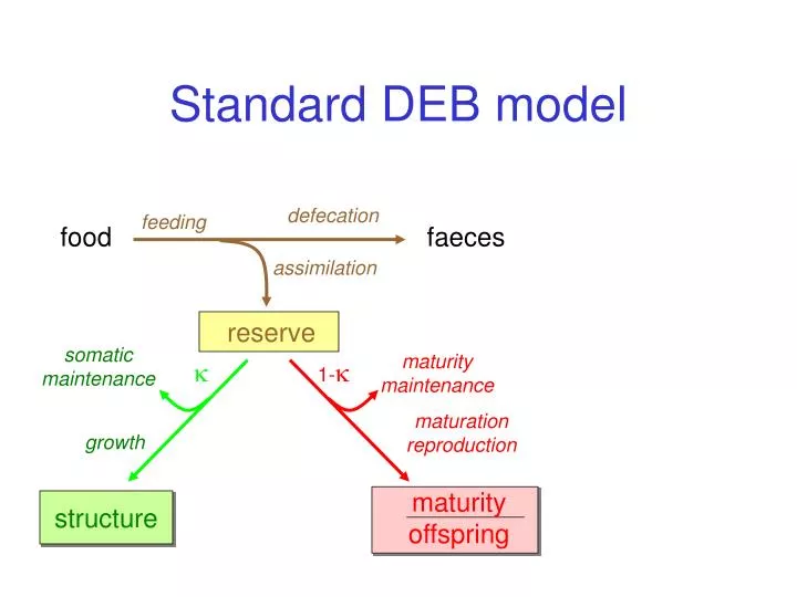 standard deb model