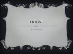 dogs - slide 1