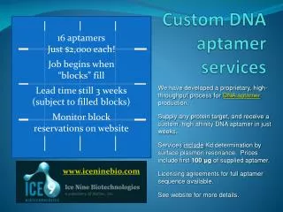 Custom DNA aptamer services