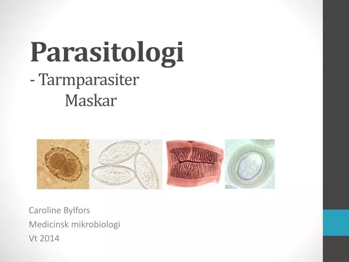 parasitologi tarmparasiter maskar