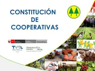 constituci n de cooperativas